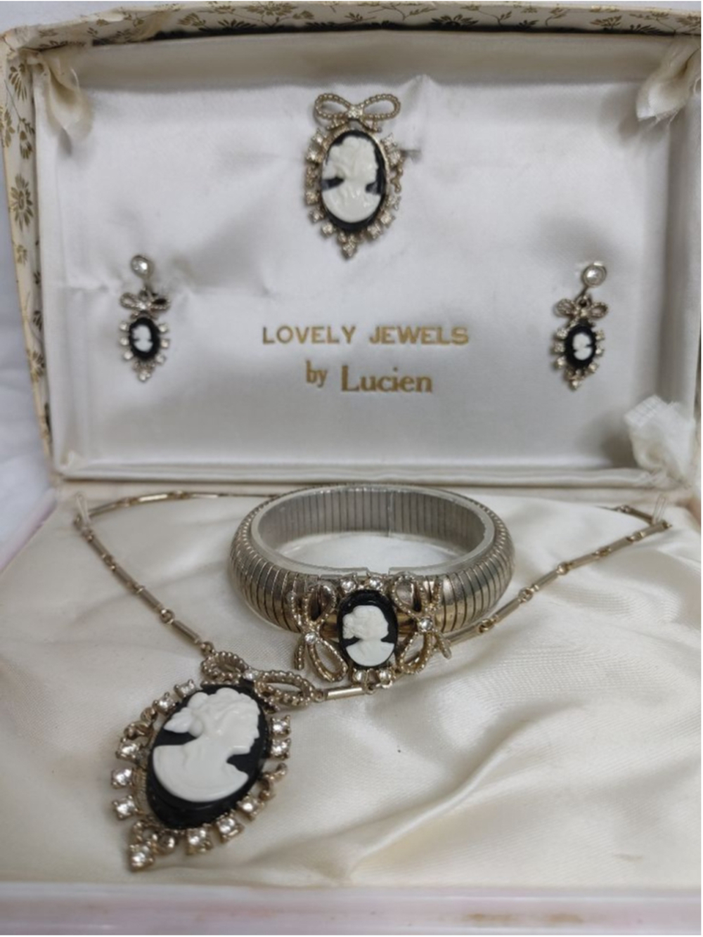 Women's Lovely Jewels by Lucien 4 pc Silver & Black Cameo Pature Gift Set 40s-50